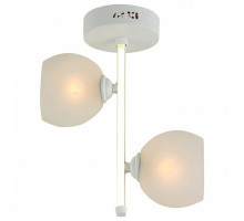 Светильник на штанге Hiper Carmona H805-2