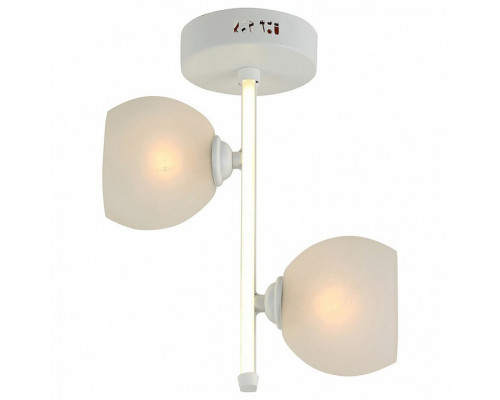 Светильник на штанге Hiper Carmona H805-2