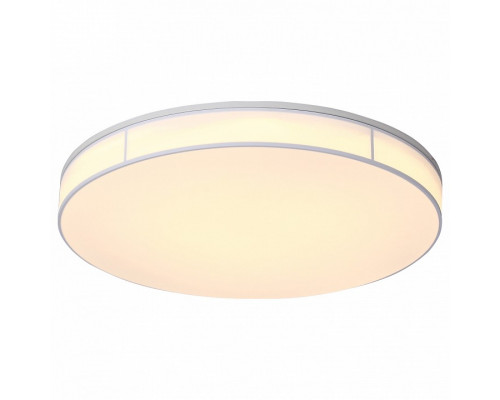 Накладной светильник ST-Luce Fella