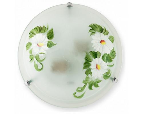 Накладной светильник TopLight Vegost TL9341Y-02WH