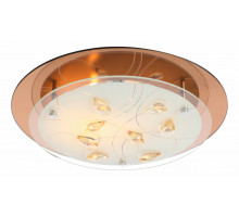 Накладной светильник Globo Ayana 40413-2