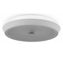 Накладной светильник Freya LED FR10012CL-L24W