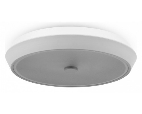 Накладной светильник Freya LED FR10012CL-L24W