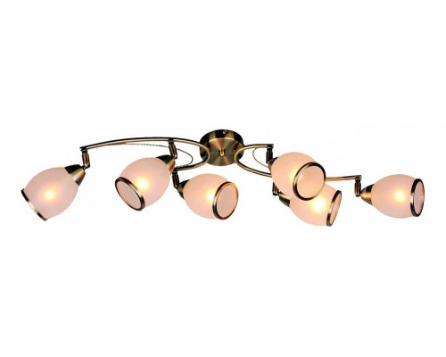 Спот Omnilux Autunois OML-35127-06