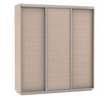 Шкаф-купе Экспресс Элемент Трио 2400x600x2400