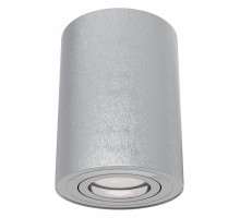 Накладной светильник Maytoni Alfa C016CL-01S