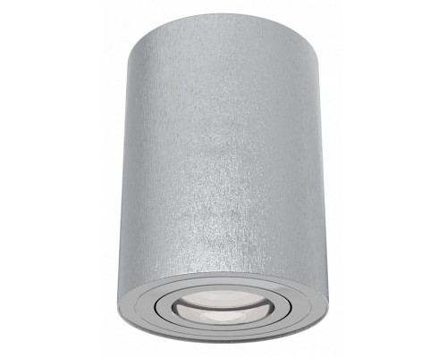 Накладной светильник Maytoni Alfa C016CL-01S