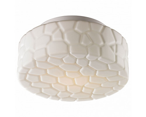 Накладной светильник Arte Lamp Aqua A5320PL-1WH