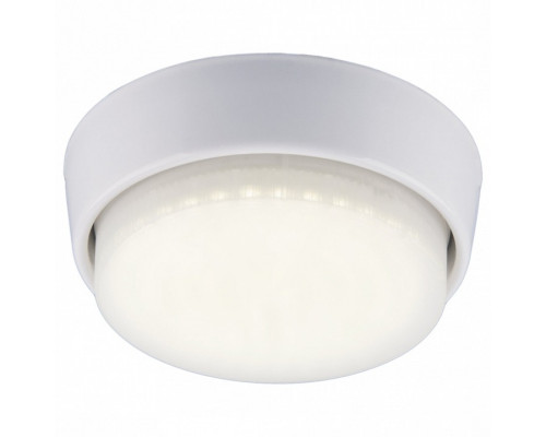 Накладной светильник Elektrostandard 1037 a032898