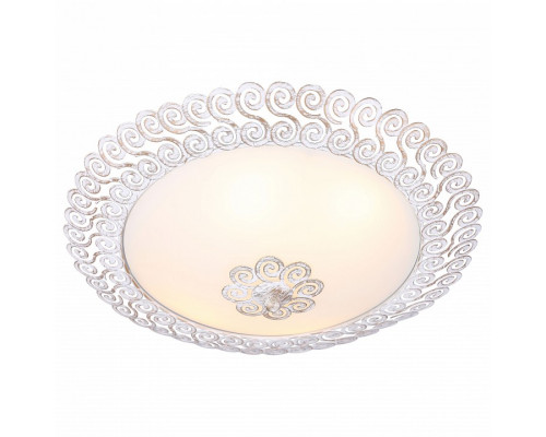 Накладной светильник Arte Lamp Fleece A4554PL-4WG