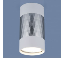 Накладной светильник Elektrostandard DLN110 a047744