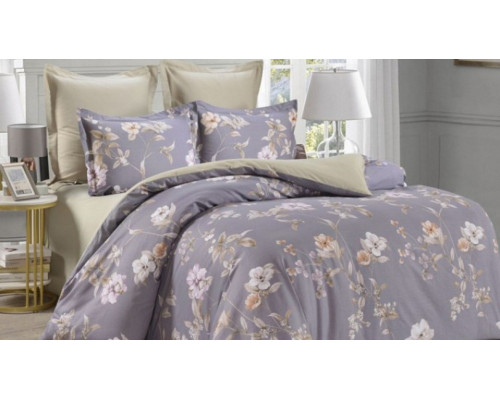 Постельное белье евростандарт C-385