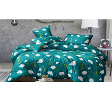 Постельное белье евростандарт Аризу