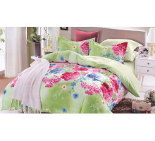 Постельное белье евростандарт Paradise Lamballe