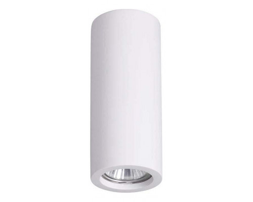 Накладной светильник Odeon Light Gips 3554/1C