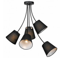 Потолочная люстра Lussole Lafayette 