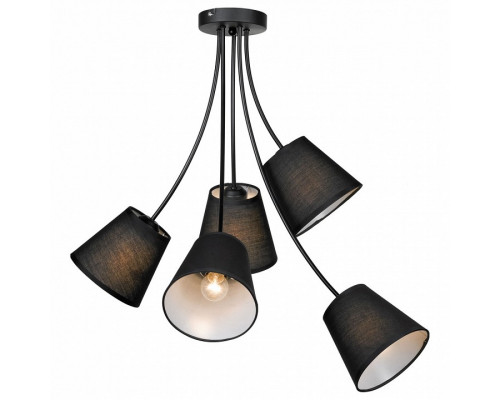 Потолочная люстра Lussole Lafayette