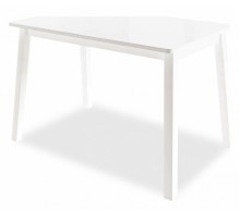 Стол обеденный Тирк 2