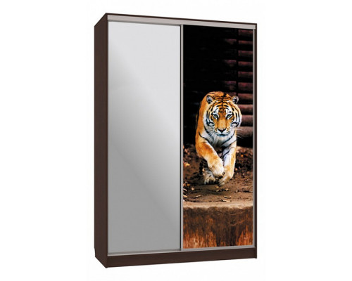 Шкаф-купе Рио 9-600 87