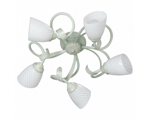 Потолочная люстра Vitaluce V3214 V3214/5PL