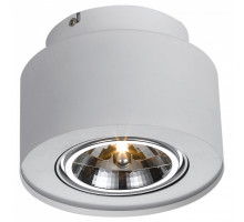Накладной светильник Arte Lamp Cliff A5643PL-1WH