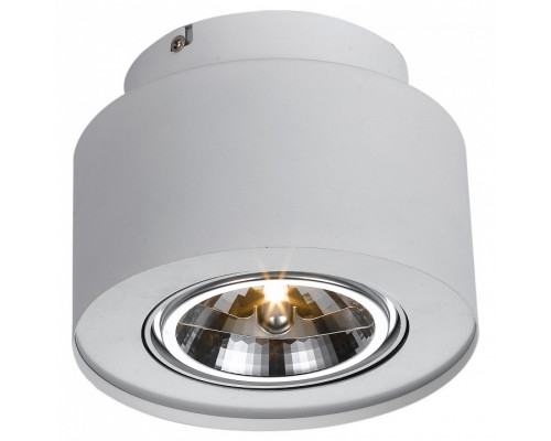 Накладной светильник Arte Lamp Cliff A5643PL-1WH