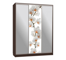 Шкаф-купе Бассо 9-600 83