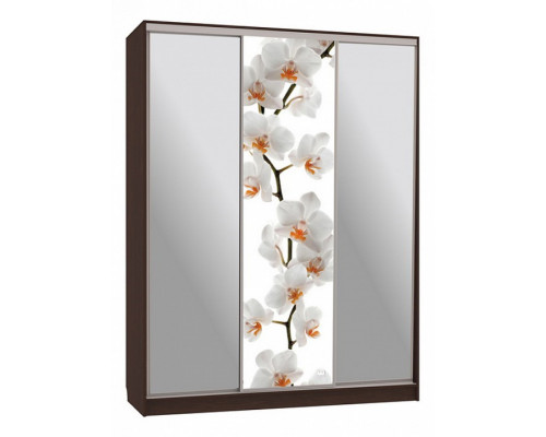 Шкаф-купе Бассо 9-600 83