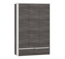 Шкаф платяной Virginia НМ 011.50