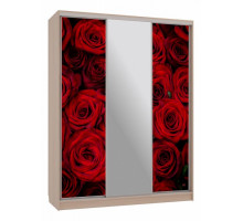 Шкаф-купе Бассо 10-600 89