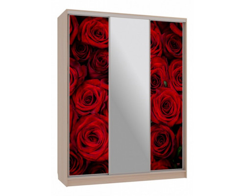 Шкаф-купе Бассо 10-600 89