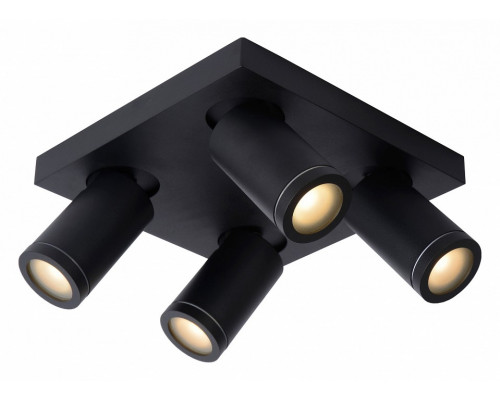 Спот Lucide Taylor 09930/20/30