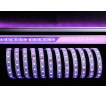 Лента светодиодная [5 м] Deko-Light  840241