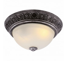 Накладной светильник Arte Lamp Piatti A8009PL-2SB