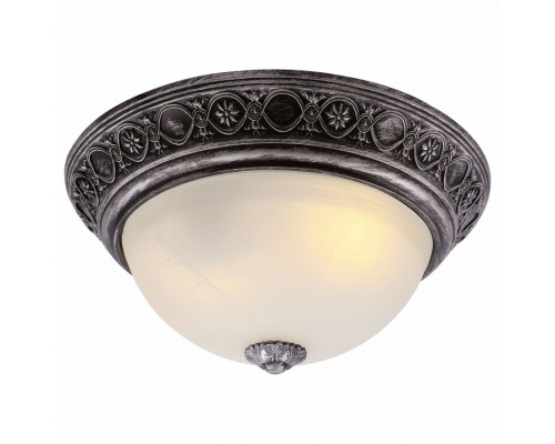 Накладной светильник Arte Lamp Piatti A8009PL-2SB