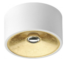 Накладной светильник Odeon Light Glasgow 3892/1C