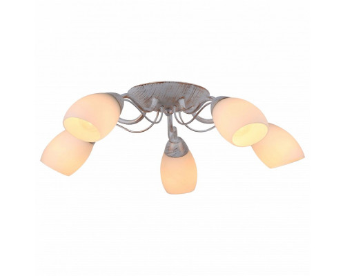 Потолочная люстра Arte Lamp Carlo A8105PL-5WG
