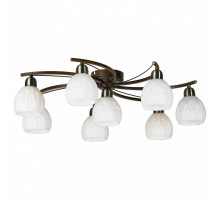 Потолочная люстра Lussole Kstall 