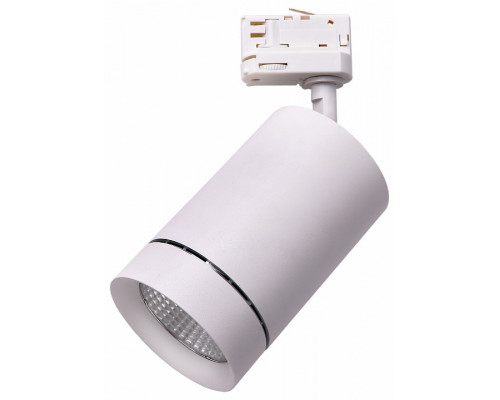 Светильник на штанге Lightstar Canno 303564