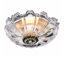 Встраиваемый светильник Favourite Conti 1558-1C