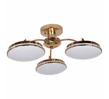 Потолочная люстра F-promo Ledante 2473-3P