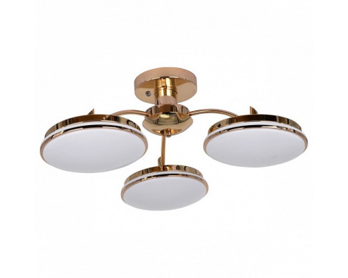 Потолочная люстра F-promo Ledante 2473-3P