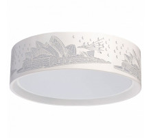 Накладной светильник MW-Light Ривз 674016001