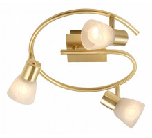 Спот Globo Raider 54540-3