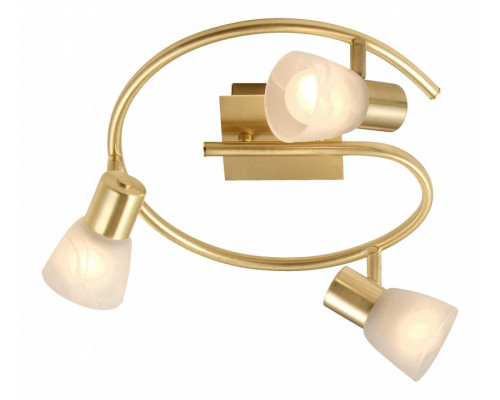 Спот Globo Raider 54540-3