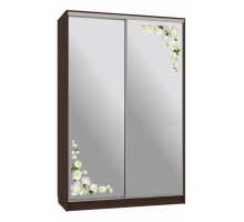 Шкаф-купе Гранд 4-600 розы