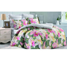 Постельное белье полутораспальное Вальтери С