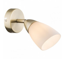 Спот Imex SP.018 SP.018-11-61