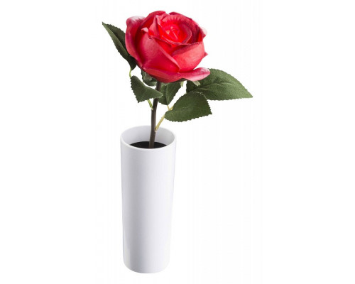 Растение в горшке Globo Orphelia 28021