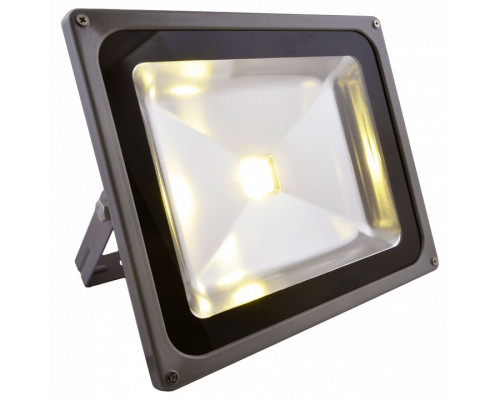 Настенный прожектор Arte Lamp Faretto A2550AL-1GY